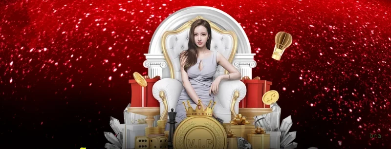 Níveis VIP bra